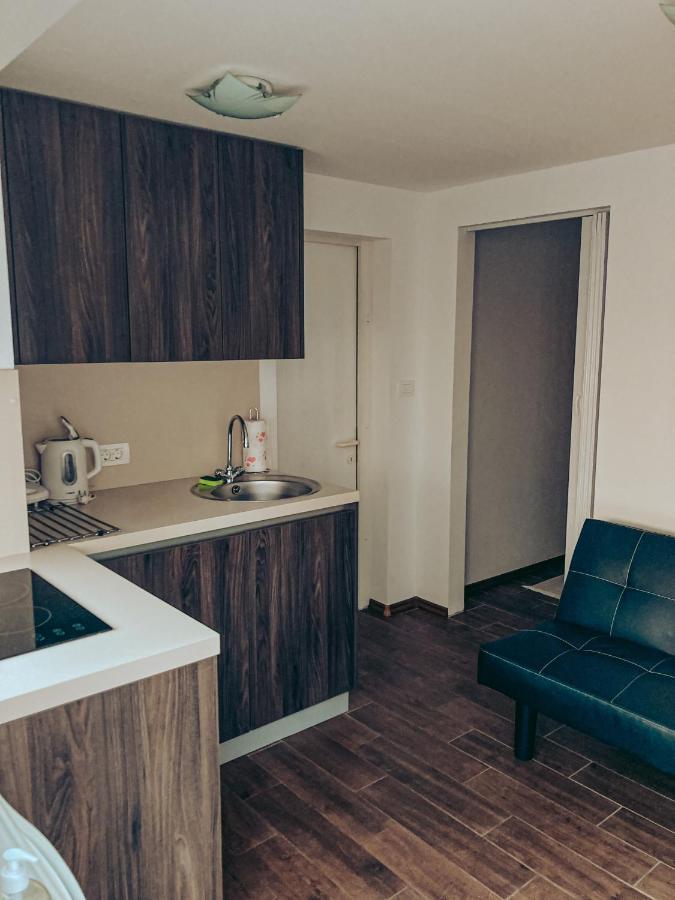 Apartments Ivanovic Idrija Bagian luar foto