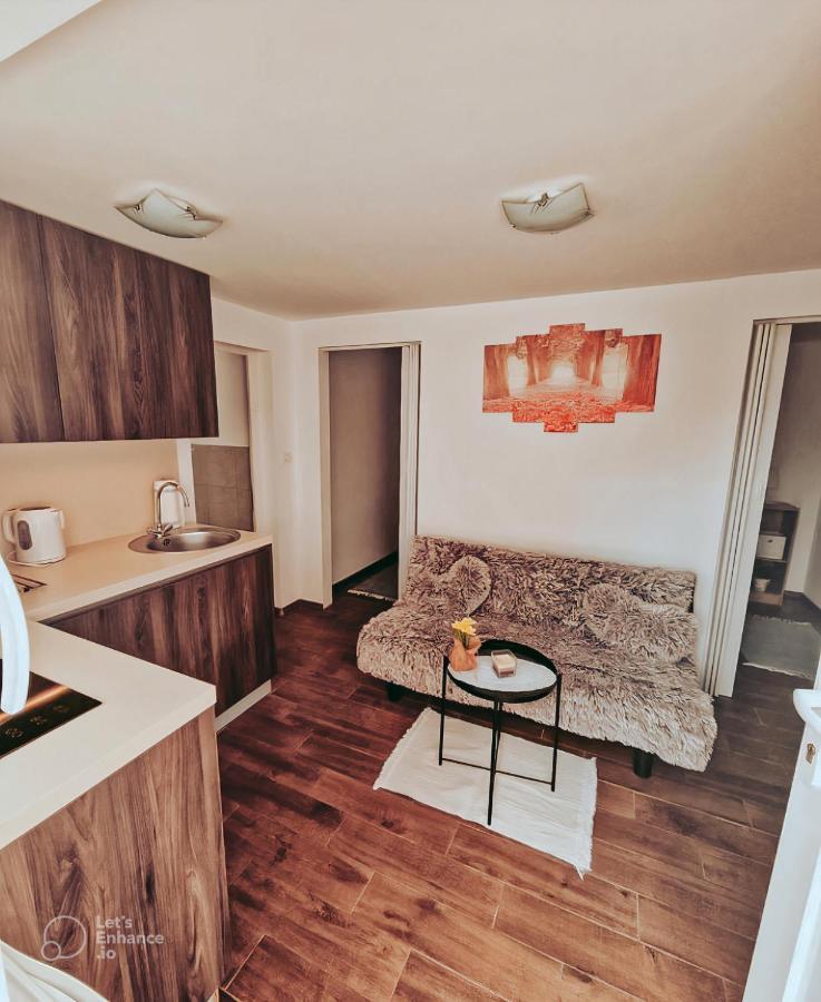 Apartments Ivanovic Idrija Bagian luar foto