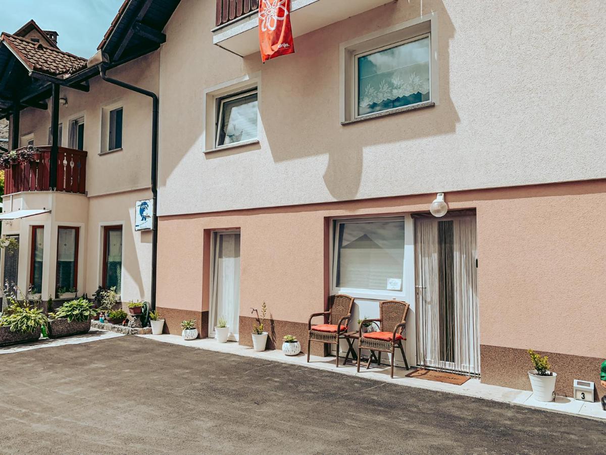 Apartments Ivanovic Idrija Bagian luar foto